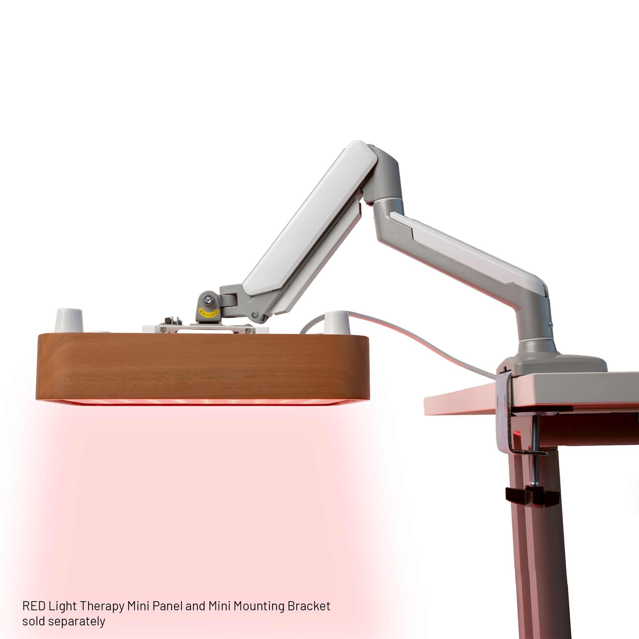 VESA Swivel Arm Mount